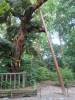 536 - 20150610 Day09 Kyoto
