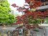 586 - 20150610 Day09 Kyoto