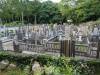 603 - 20150610 Day09 Kyoto