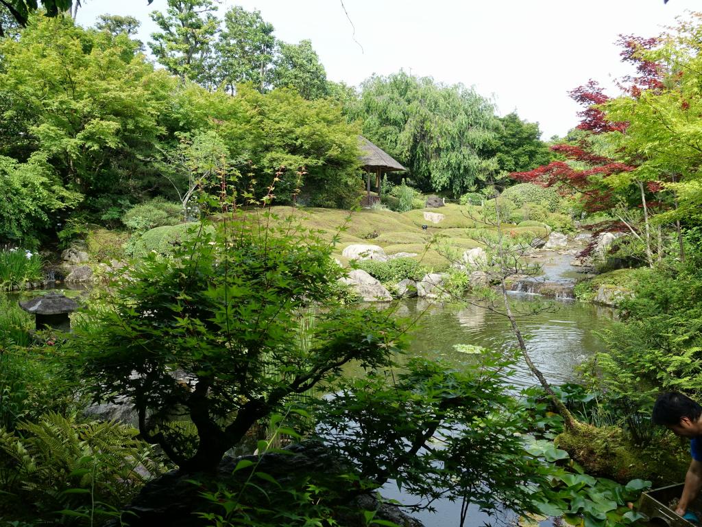 346 - 20150610 Day09 Kyoto