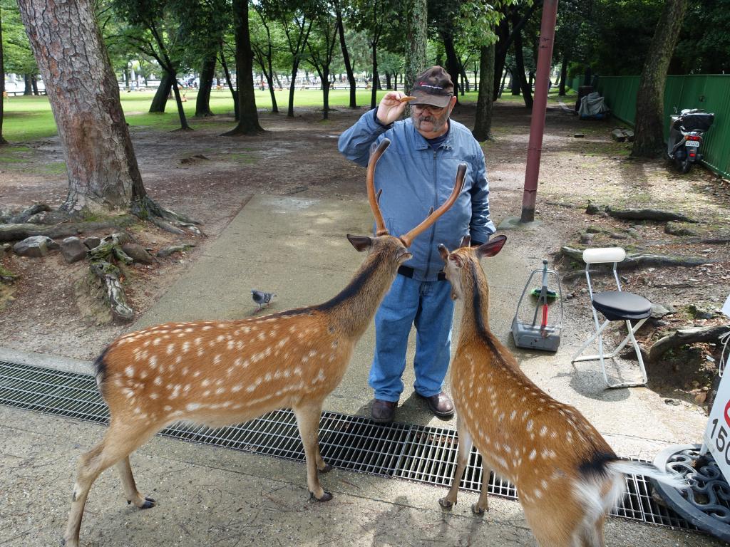 101 - 20150612 Day11 Nara