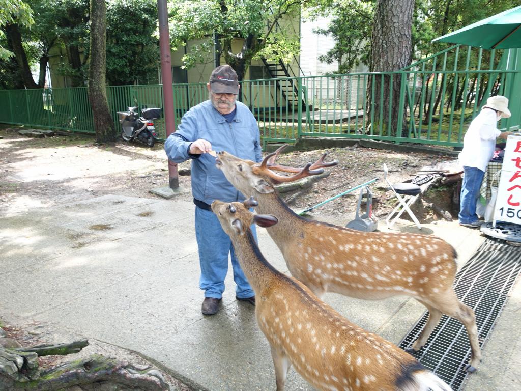 104 - 20150612 Day11 Nara