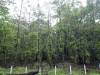 222 - 20150711 La Arenal Day2