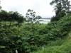 223 - 20150711 La Arenal Day2
