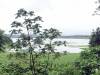 224 - 20150711 La Arenal Day2