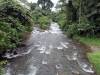 225 - 20150711 La Arenal Day2