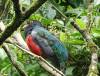 267 - 20150711 La Arenal Day2