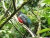 268 - 20150711 La Arenal Day2