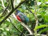 270 - 20150711 La Arenal Day2