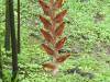 273 - 20150711 La Arenal Day2