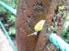 290 - 20150711 La Arenal Day2