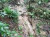 294 - 20150711 La Arenal Day2