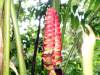 300 - 20150711 La Arenal Day2
