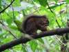 304 - 20150711 La Arenal Day2
