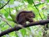 305 - 20150711 La Arenal Day2