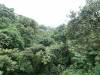 318 - 20150711 La Arenal Day2
