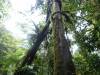 323 - 20150711 La Arenal Day2