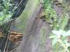 324 - 20150711 La Arenal Day2