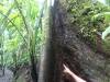 332 - 20150711 La Arenal Day2