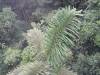351 - 20150711 La Arenal Day2