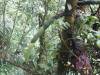 354 - 20150711 La Arenal Day2