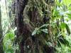 355 - 20150711 La Arenal Day2