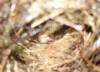 370 - 20150711 La Arenal Day2