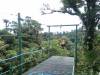 263 - 20150716 Monteverde Day2