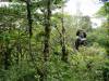 315 - 20150716 Monteverde Day2 Zipline Arturo