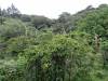 510 - 20150716 Monteverde Day2