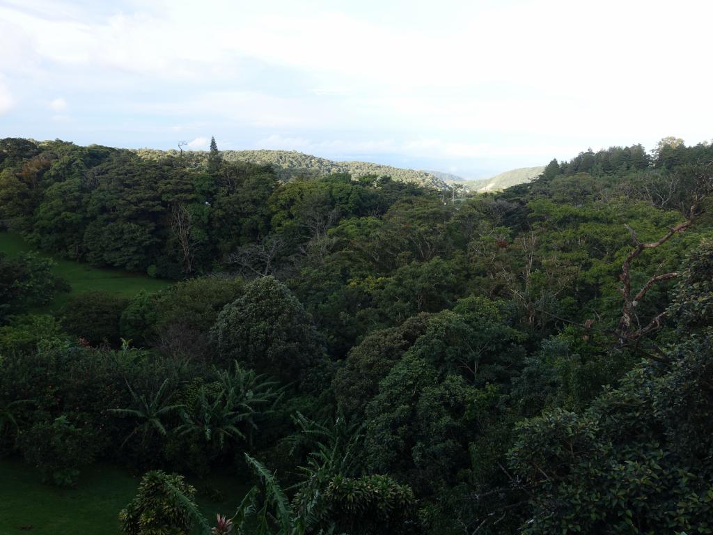 200 - 20150716 Monteverde Day2