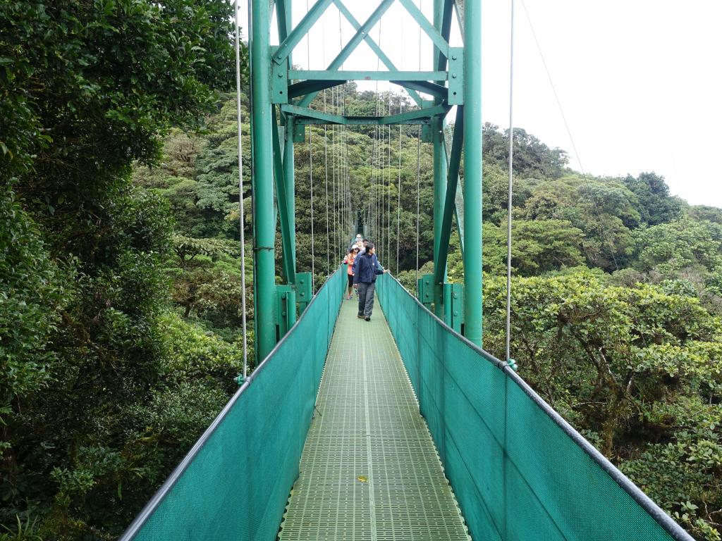 216 - 20150716 Monteverde Day2