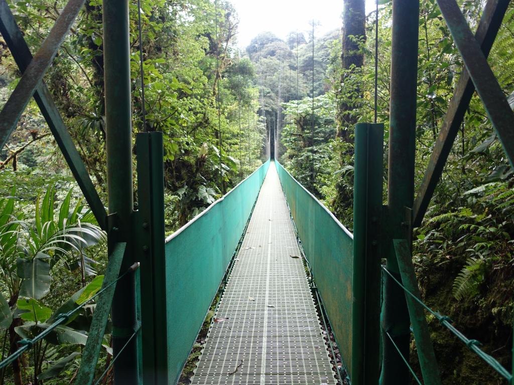 236 - 20150716 Monteverde Day2