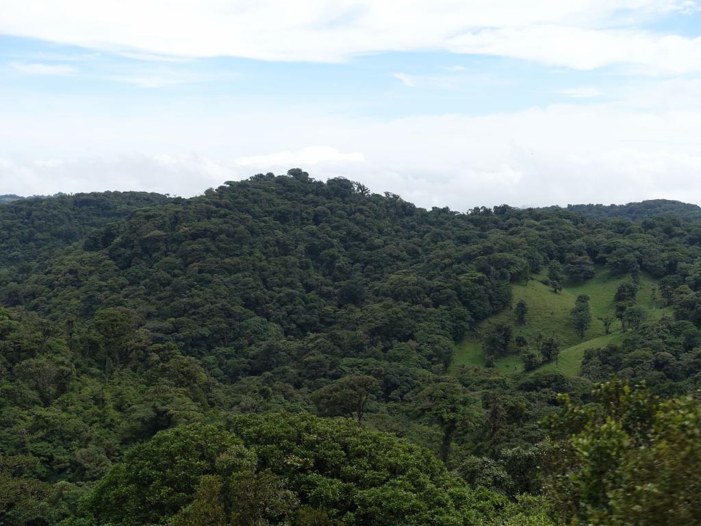 244 - 20150716 Monteverde Day2