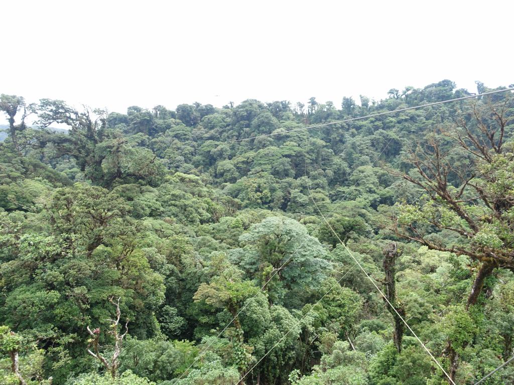 266 - 20150716 Monteverde Day2