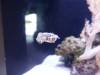 511 - Seattle Aquarium