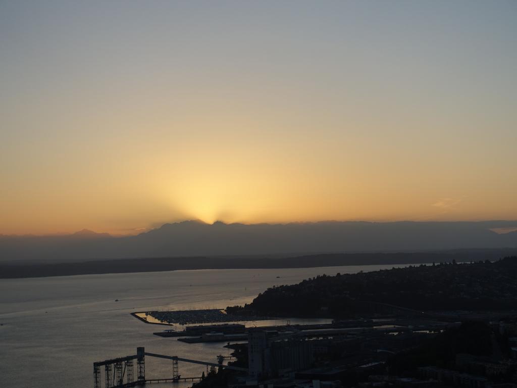 335 - World Fair Museums Space Needle