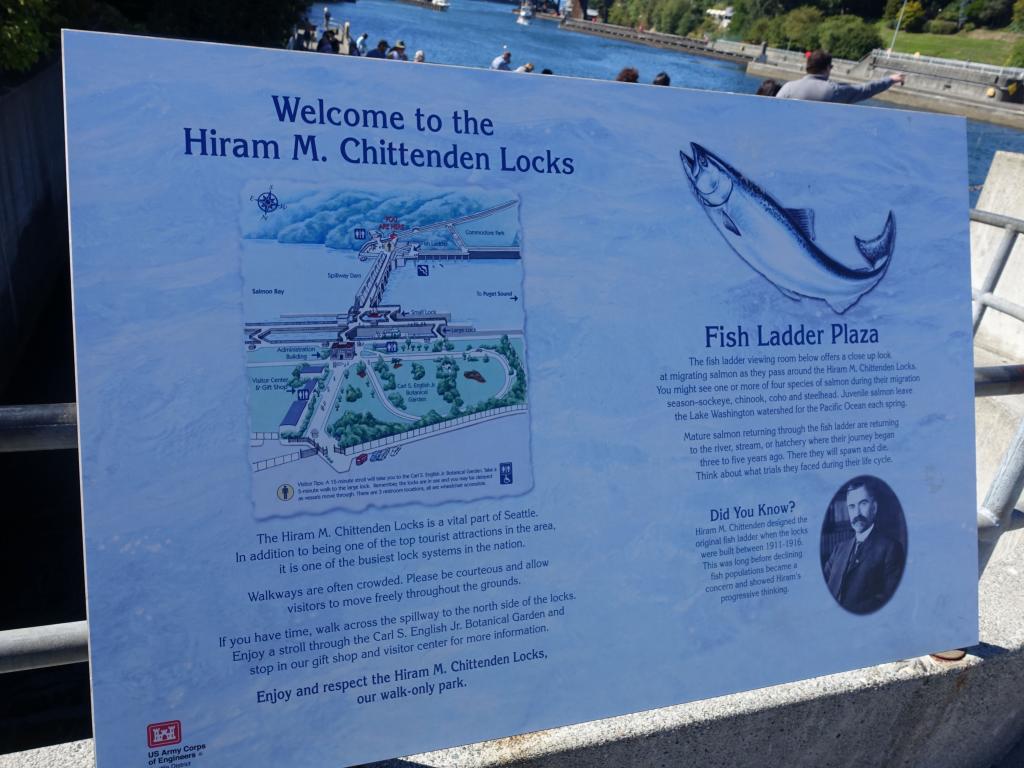 976 - Chittenden Locks