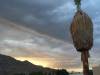 201 - Palm Springs