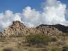 310 - Joshua Tree NP