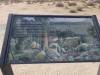 313 - Joshua Tree NP
