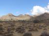 314 - Joshua Tree NP
