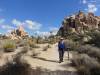 317 - Joshua Tree NP