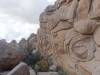319 - Joshua Tree NP