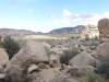 331 - Joshua Tree NP