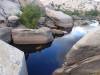 338 - Joshua Tree NP