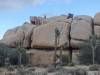 346 - Joshua Tree NP