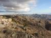371 - Joshua Tree NP