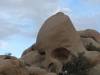 375 - Joshua Tree NP