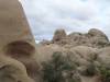 383 - Joshua Tree NP